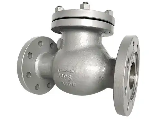 Factors to Consider When Choosing Check Valves for Steam